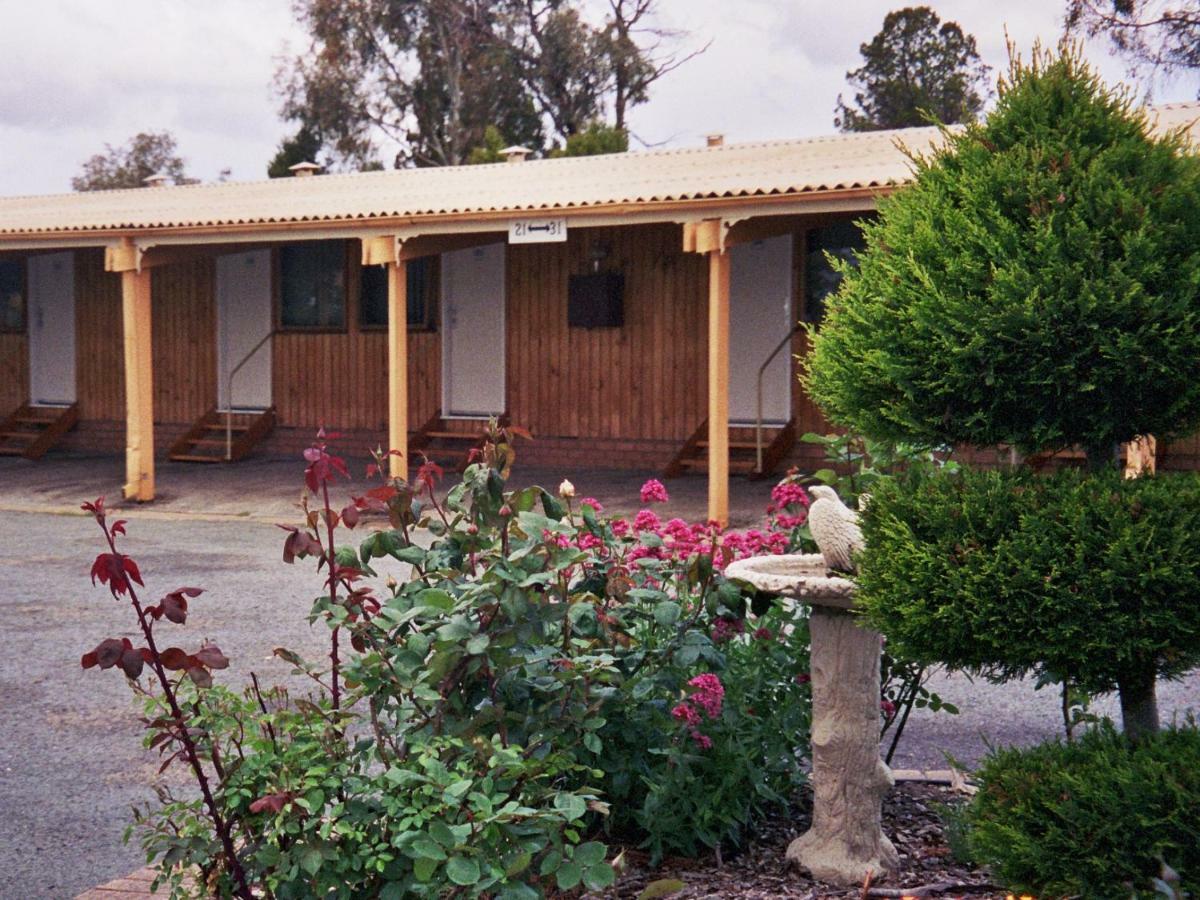 Cooma High Country Motel Exterior photo
